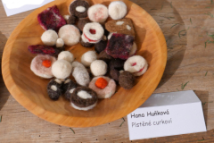 074a.-Hana-Hunkova-Plstene-cukrovi