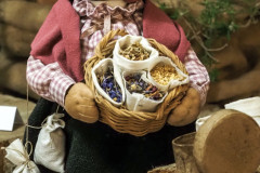 3.13.-b-Buzkova-Jana-Korenarka